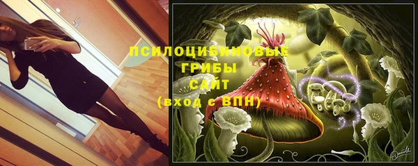 кокс Арсеньев
